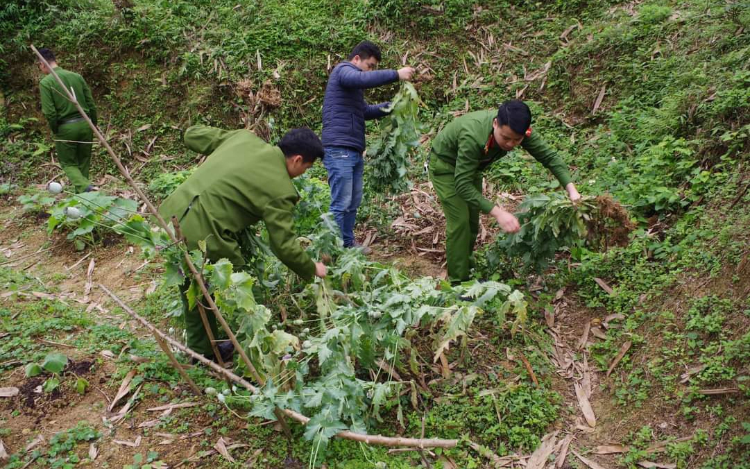 Dai uy nguoi tay ma kien hung gop phan mang lai su binh yen ba con vung cao hinh anh 1