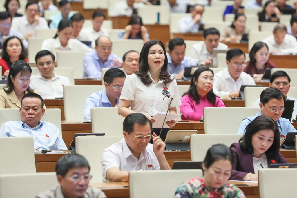 nguoi dan va doanh nghiep mong cho luat Dat dai sua doi duoc ban hanh hinh anh 1