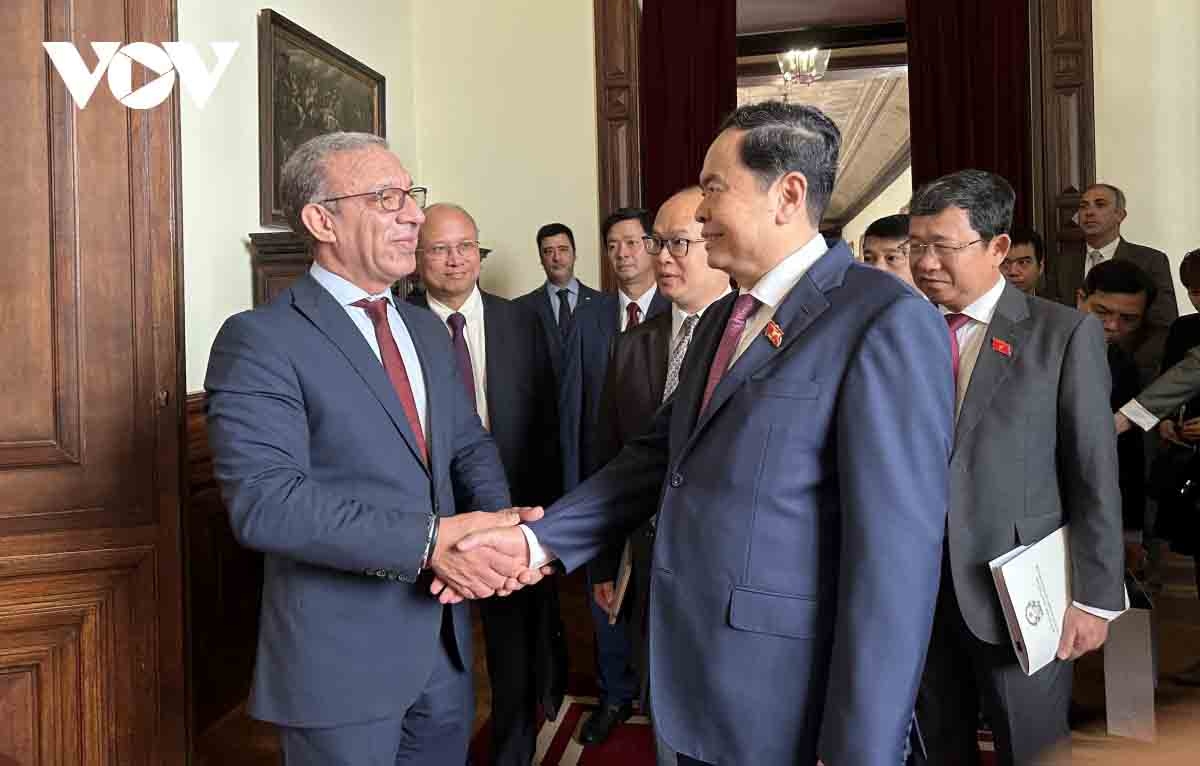 portugal attaches importance to developing relations with vietnam picture 3