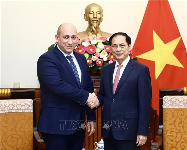 vietnam treasures traditional friendship, cooperation with georgia fm picture 1