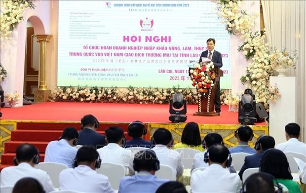 vietnamese, chinese provinces beef up cross-border trade picture 1