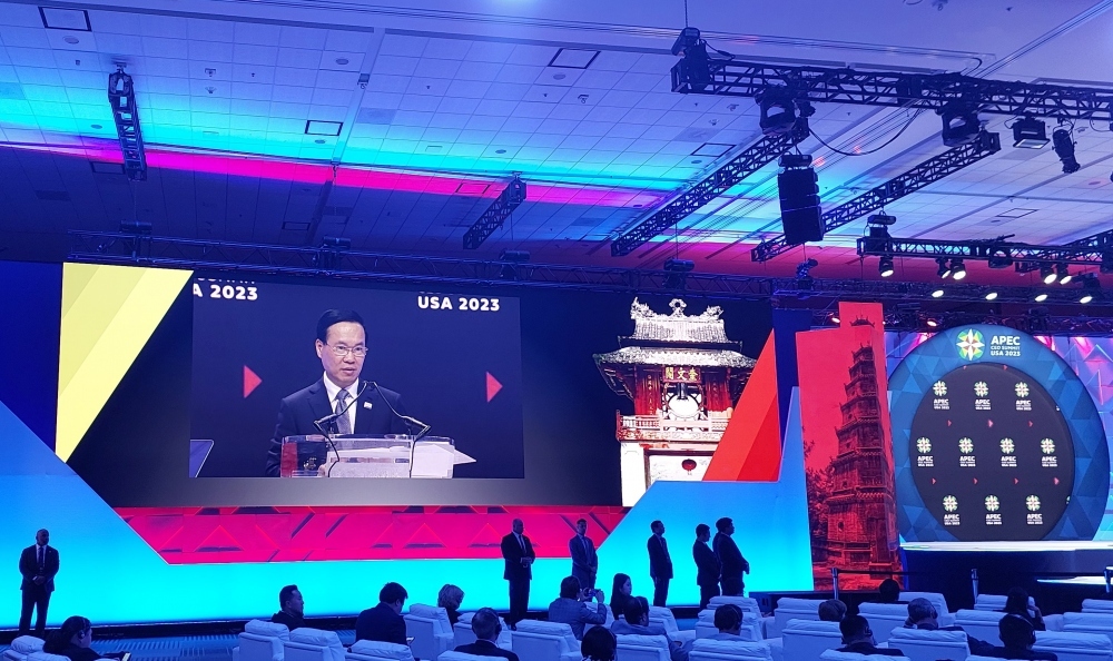 vietnam proposes addressing global economic contradictions at apec ceo summit picture 2