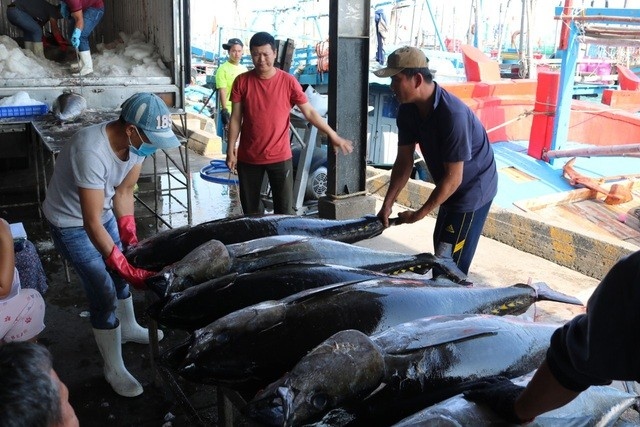 10-month tuna exports fall to an estimated us 690 million picture 1