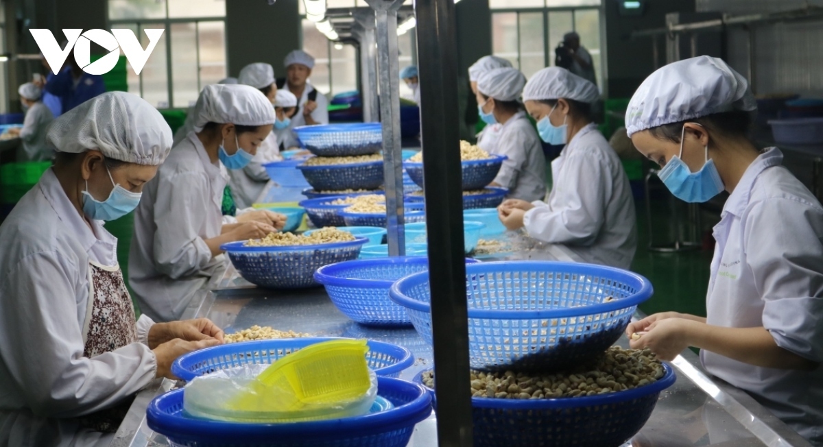 vietnam and tunisia ramp up trade cooperation picture 1