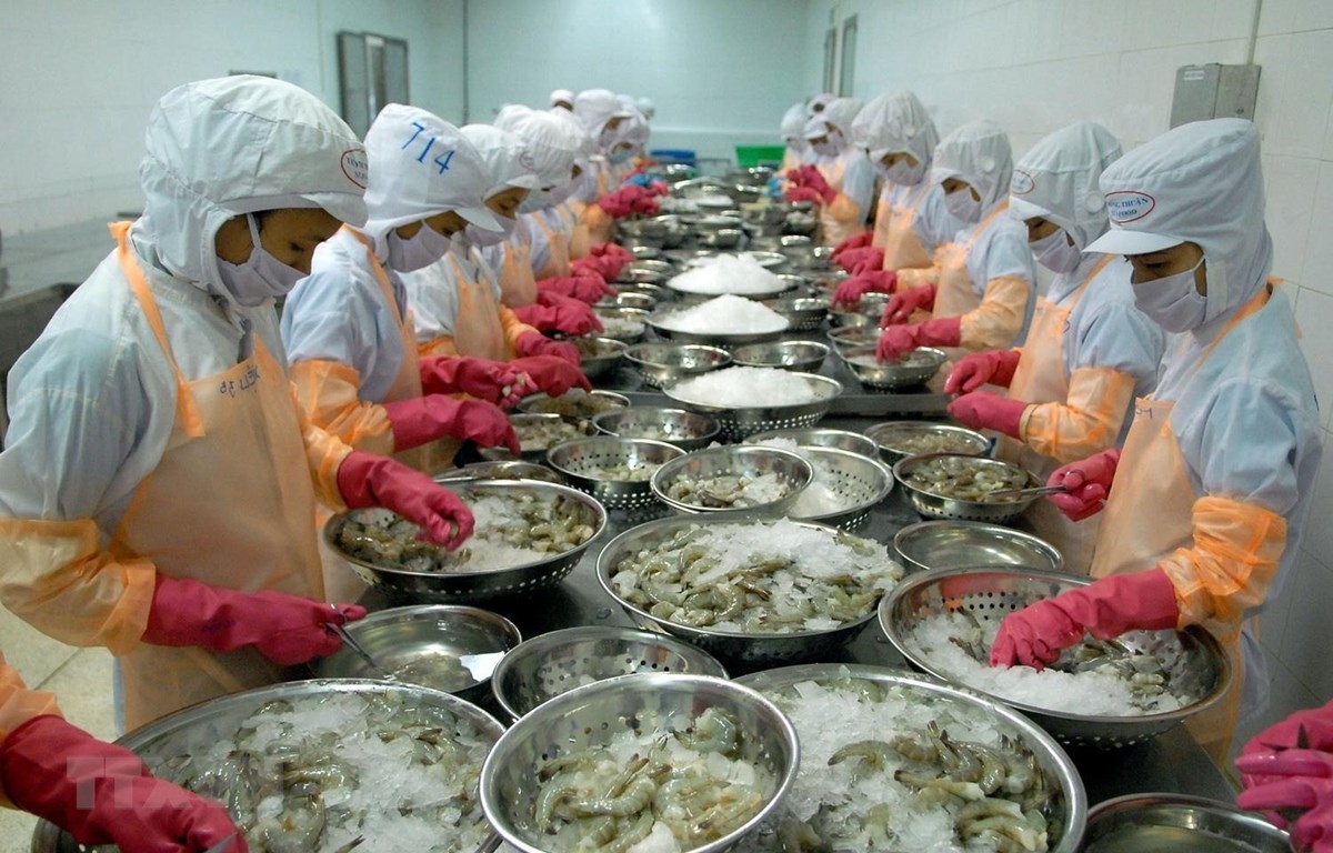 Vietnam emerges as largest shrimp supplier to RoK market