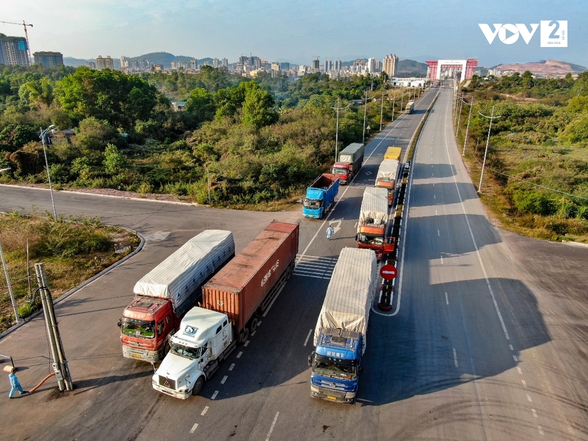 Tăng cường đấu tranh chống buôn lậu, gian lận thương mại và hàng giả dịp Tết