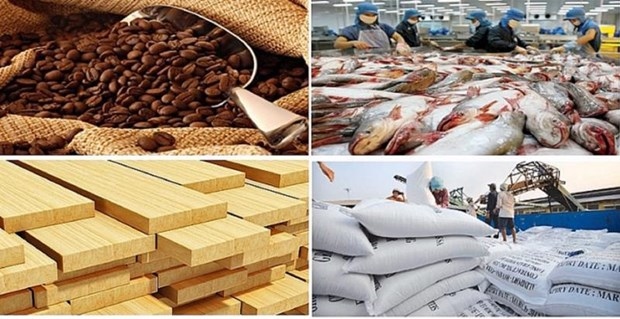 agro-forestry-fishery sector posts trade surplus of over us 12 bln in 2023 picture 1