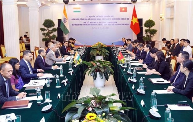 indian scholar hails vietnam s diplomatic achievements picture 1