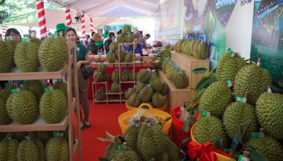 fruit and vegetable exports gross nearly us 5.6 billion this year picture 1