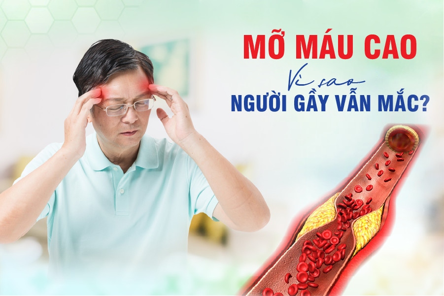 5 thủ phạm khiến người gầy vẫn bị mỡ máu cao