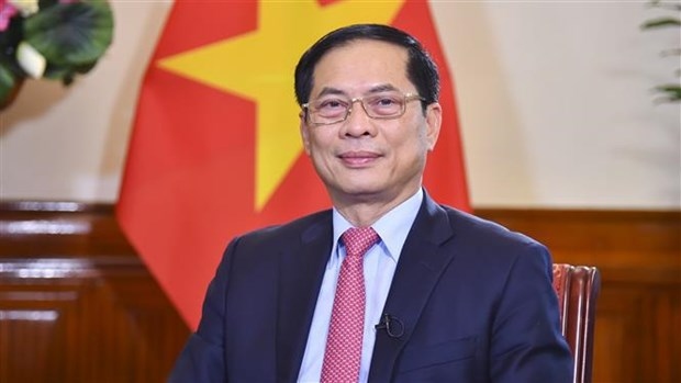 further efforts planned to promote vietnamese bamboo diplomacy fm picture 1