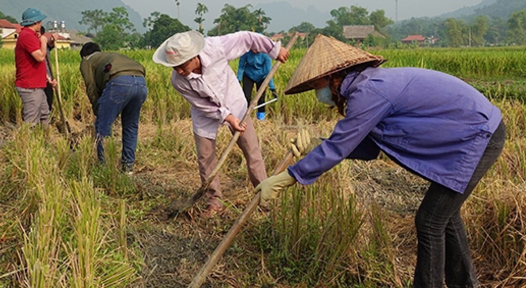 Đồng bào dân tộc thiểu số Yên Bái hướng tới mục tiêu tăng thêm năng suất