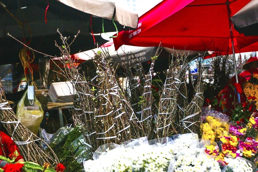 hanoi streets dotted with wild pear flowers signaling festive season picture 10