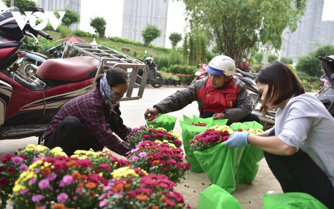 bustling atmosphere descends on xuan quan flower village as tet approaches picture 8