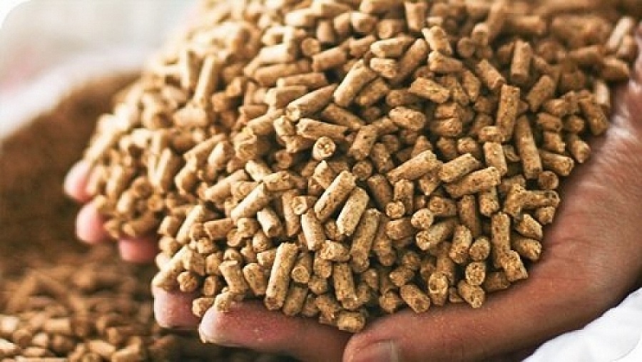 animal feed exports soar during 11-month period picture 1