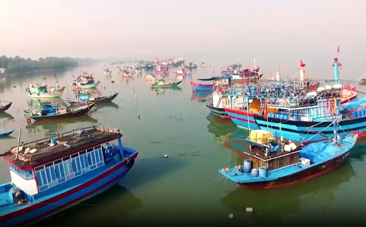 Sóc Trăng tiếp tục nỗ lực cùng với các tỉnh sớm tháo gỡ cảnh báo “Thẻ vàng” IUU