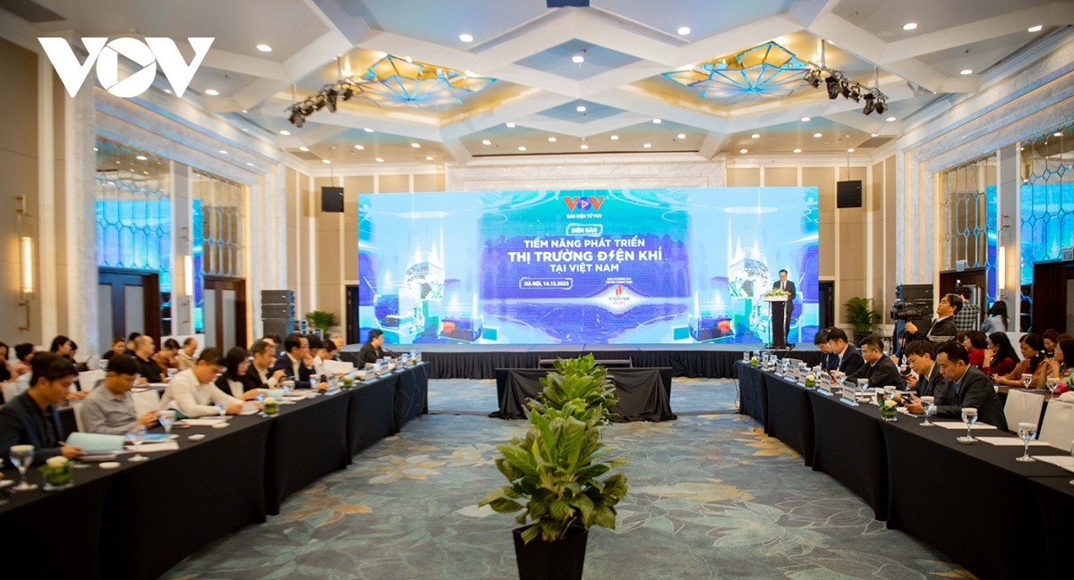 forum discusses gas power development in vietnam picture 1