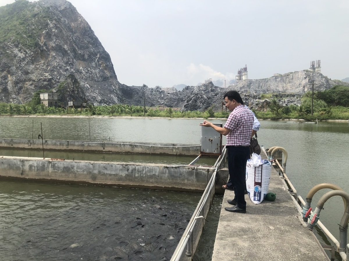Nuôi cá sông trong ao: Sạch môi trường, lợi nhà nông