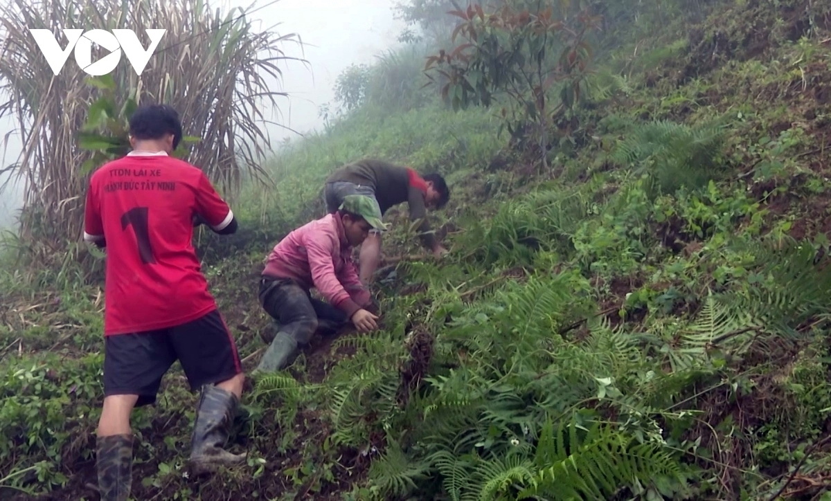 huyen mien nui Dong giang tap trung phat trien 4 vung nong nghiep chu luc hinh anh 3