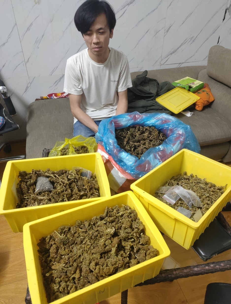 mua 4,5 kg can sa dem ve Da nang ban kiem loi hinh anh 1