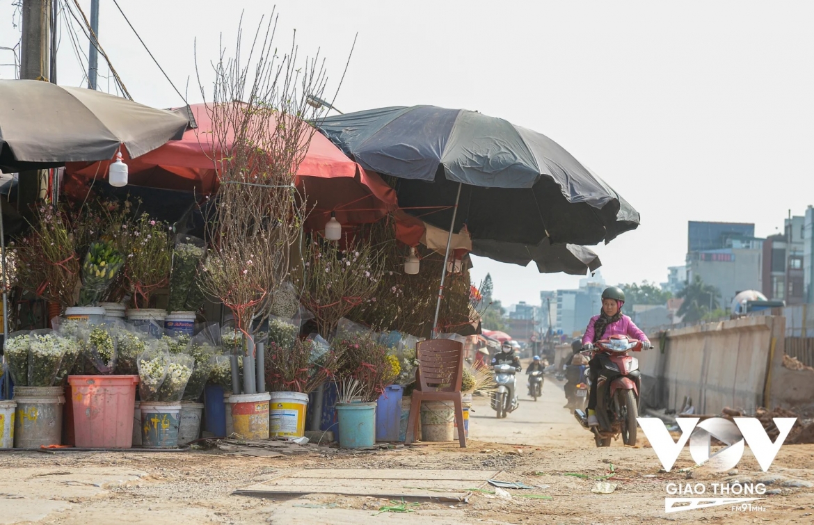 lang hoa nhat tan ha noi chuan bi dua dao ra pho hinh anh 12