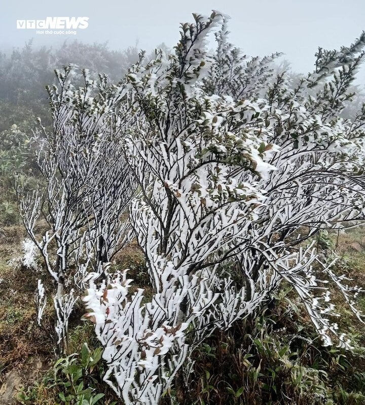 frost covers mountains as temperatures plummet further in northern region picture 1