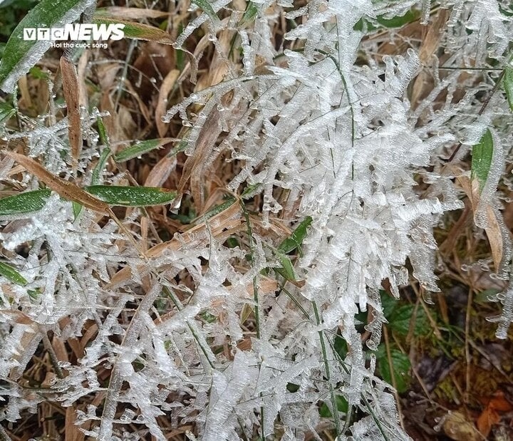 frost covers mountains as temperatures plummet further in northern region picture 2