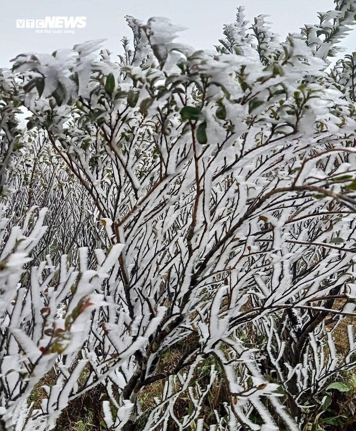 frost covers mountains as temperatures plummet further in northern region picture 3
