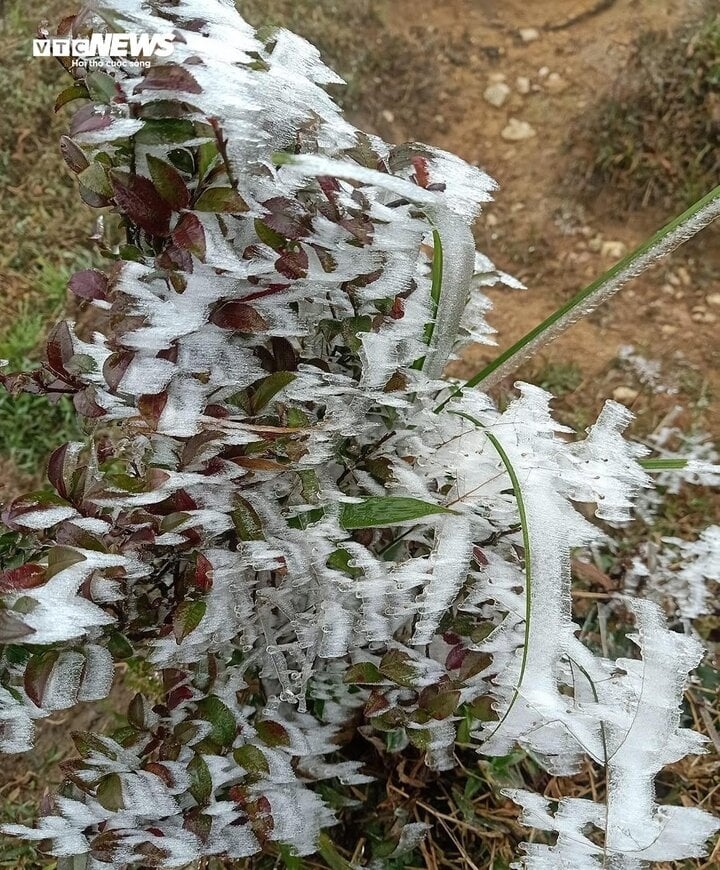 frost covers mountains as temperatures plummet further in northern region picture 4