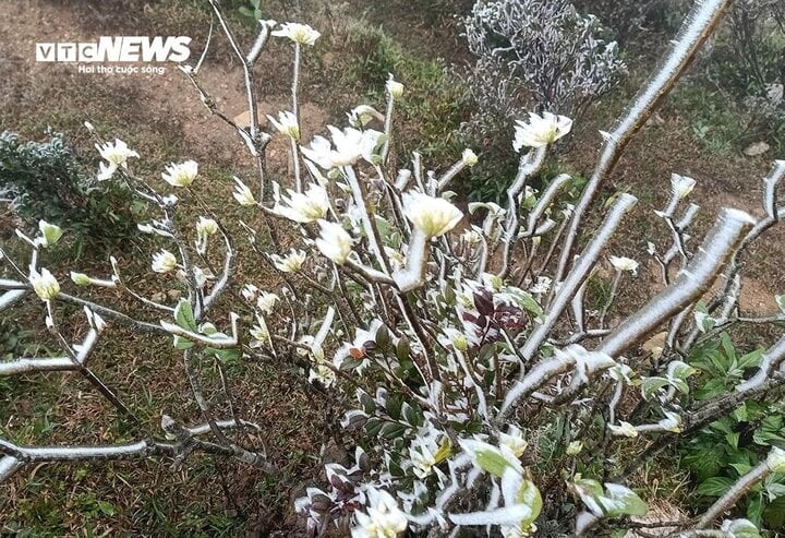 frost covers mountains as temperatures plummet further in northern region picture 5