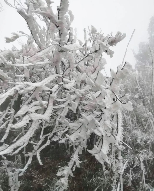 frost covers mountains as temperatures plummet further in northern region picture 7