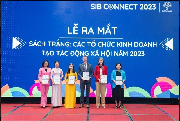 vietnamese social impact businesses meet picture 1