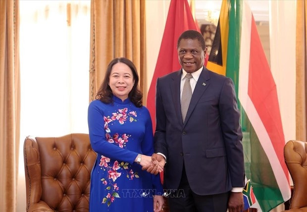 vietnam, south africa should further bolster economic ties diplomat picture 1