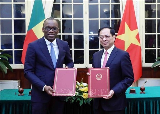 foreign ministers of vietnam, benin hold talks picture 1