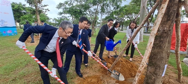 vietnam-japan friendship trees planted in da nang picture 1