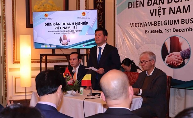 ministry ready to support partnerships between vietnamese, belgian firms picture 1
