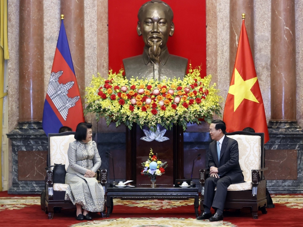 president urges vietnam-cambodia border demarcation, marker planting completion picture 1