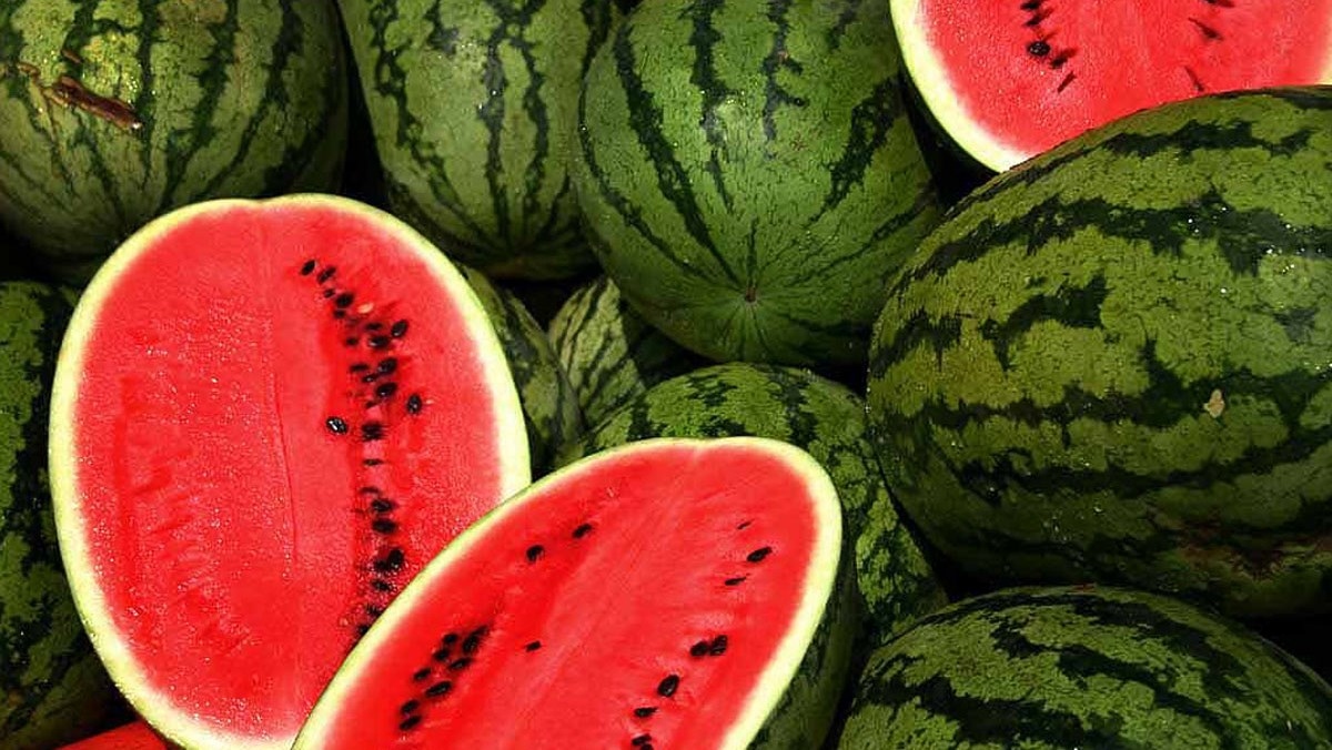vietnamese watermelon to be officially exported to china picture 1