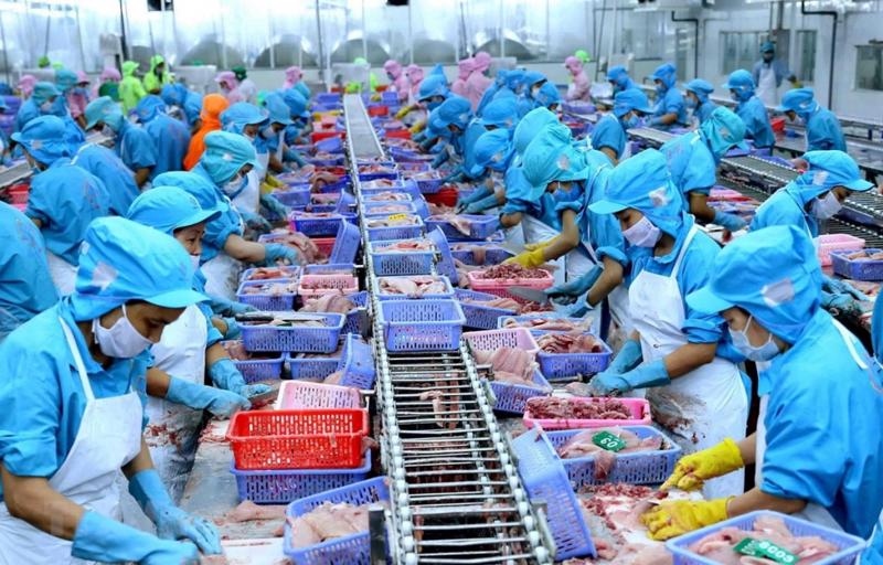 vietnam remains 7th largest seafood supplier for canada picture 1