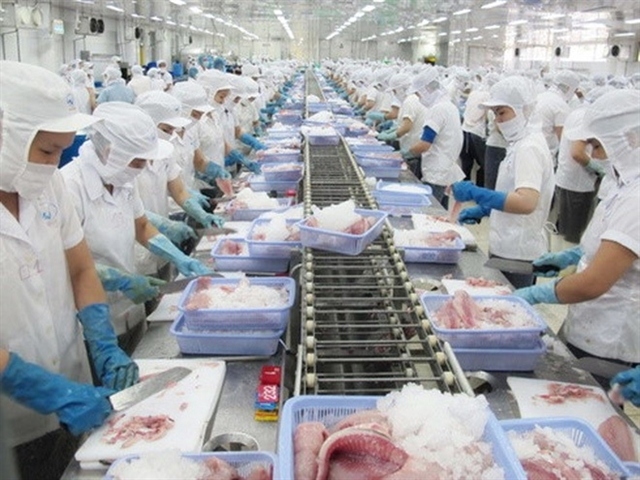 vietnam targets us 2 billion in tra fish exports in 2024 picture 1