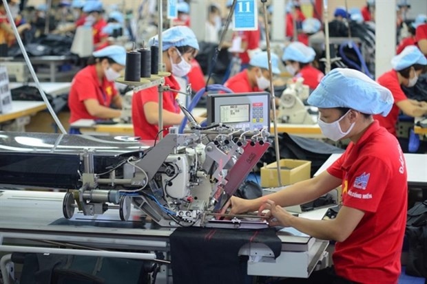 vietnamese firms adjust strategies to boost production picture 1