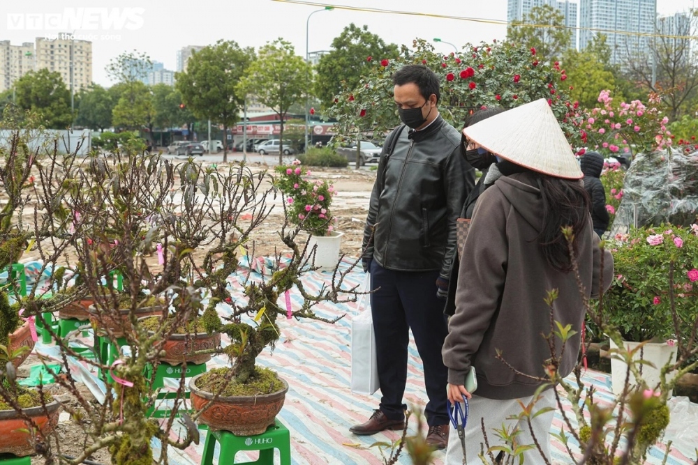 apricot tree attracts customers despite high prices picture 8