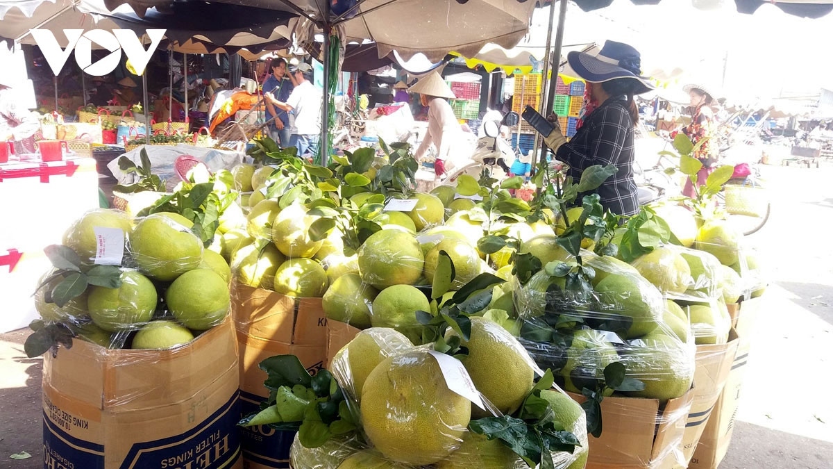 vietnamese farm produce selling well in foreign markets in early 2024 picture 1