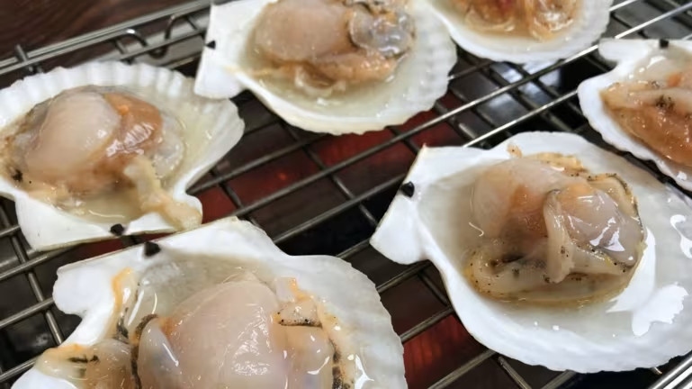 japanese seafood companies pilot processing hokkaido scallops in vietnam picture 1