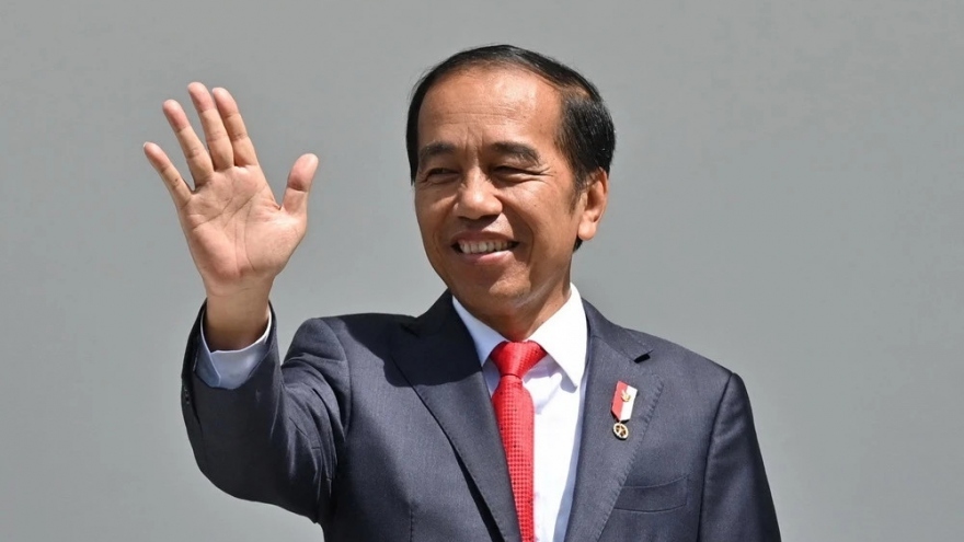 indonesian president to pay state visit to vietnam picture 1
