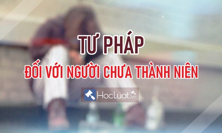 can mot luat rieng ve tu phap cho nguoi chua thanh nien hinh anh 1