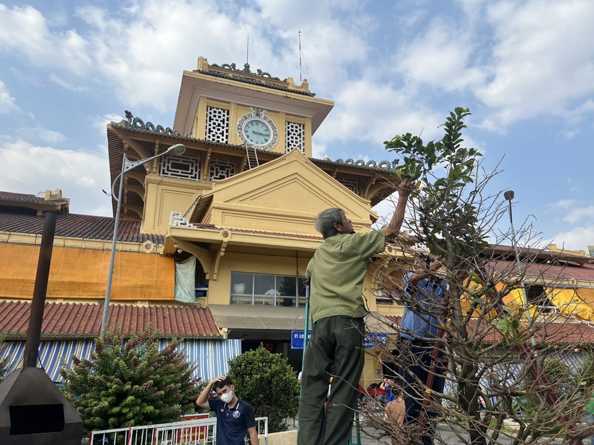 cho si banh, mut tet lon nhat tp.hcm khach nhon nhip, tieu thuong van buon rau hinh anh 6