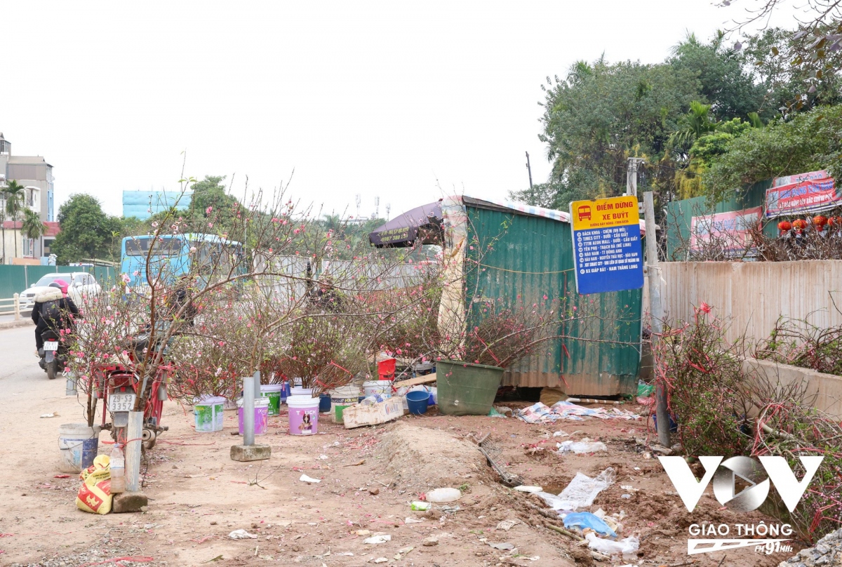 du an mo rong duong Au co - nghi tam i ach nguoi ban hoa tet lo that thu hinh anh 11