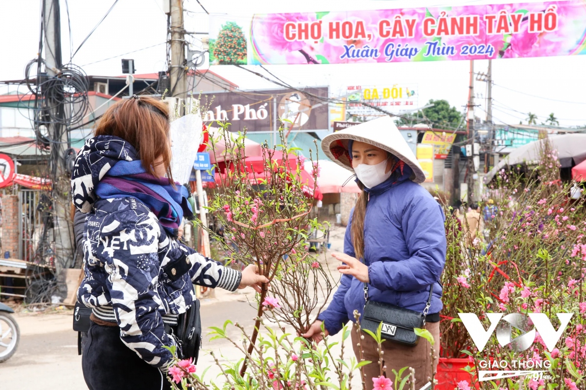 du an mo rong duong Au co - nghi tam i ach nguoi ban hoa tet lo that thu hinh anh 6