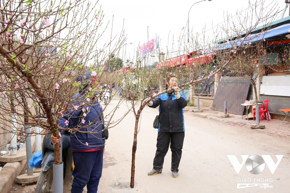 du an mo rong duong Au co - nghi tam i ach nguoi ban hoa tet lo that thu hinh anh 8